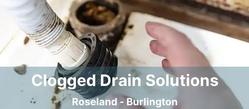  Clogged Drain Solutions Roseland - Burlington
