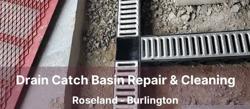  Drain Catch Basin Repair & Cleaning Roseland - Burlington