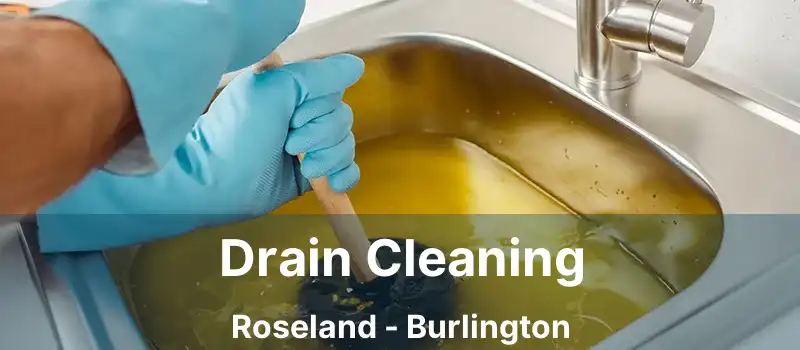  Drain Cleaning Roseland - Burlington