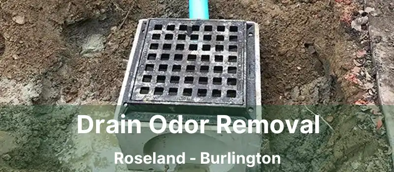  Drain Odor Removal Roseland - Burlington