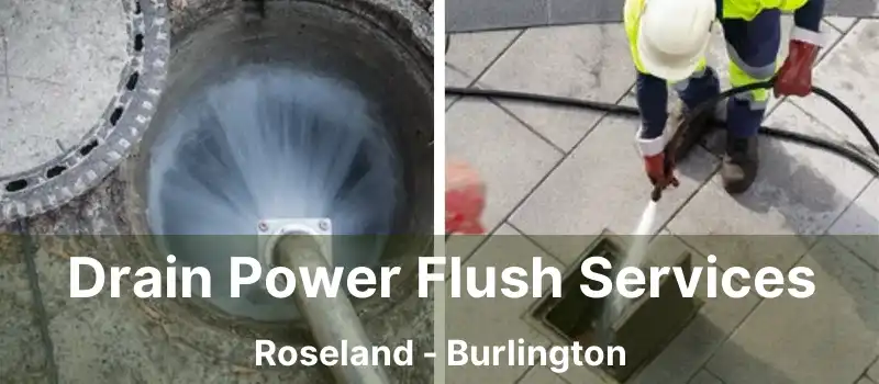  Drain Power Flush Services Roseland - Burlington