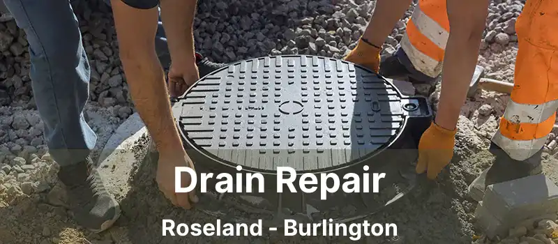  Drain Repair Roseland - Burlington