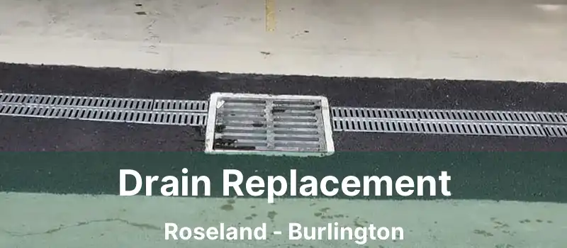  Drain Replacement Roseland - Burlington