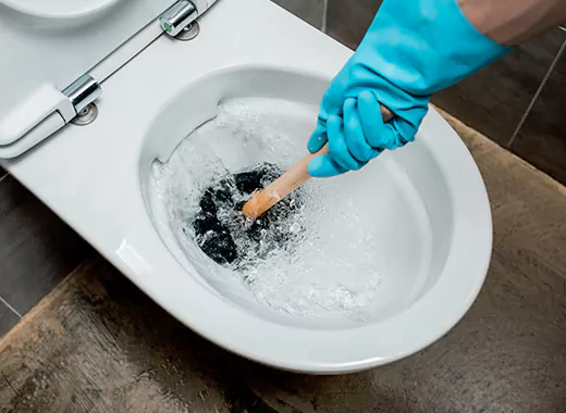 Drain Power Flush Services in Roseland, Burlington