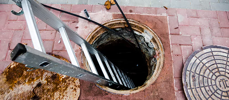 Emergency Sewer Replacement Services in Roseland, Burlington