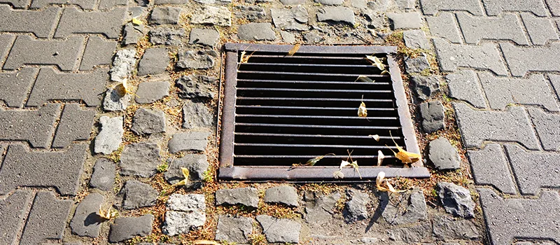 Catch Basin Installation and Maintenance in Roseland, Burlington