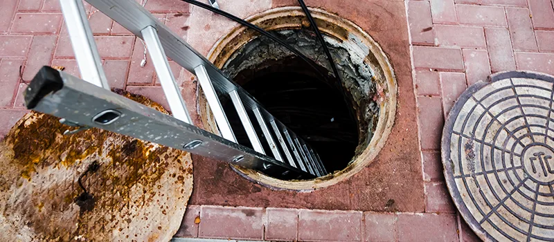 Drain Maintenance Service Near Me in Roseland, Burlington