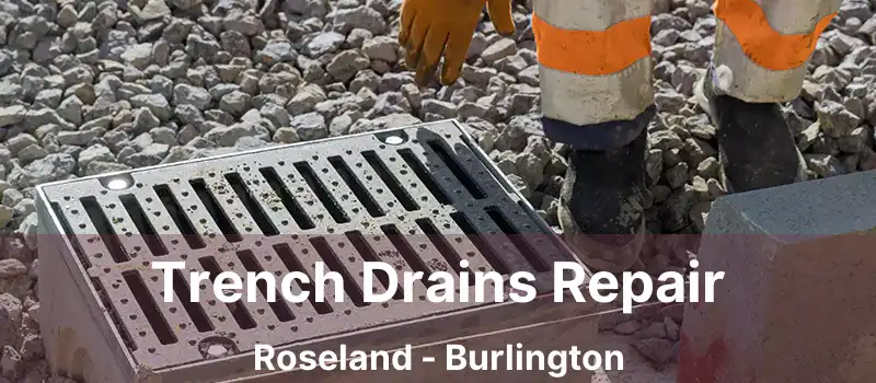  Trench Drains Repair Roseland - Burlington