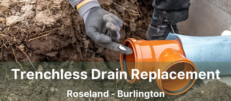  Trenchless Drain Replacement Roseland - Burlington